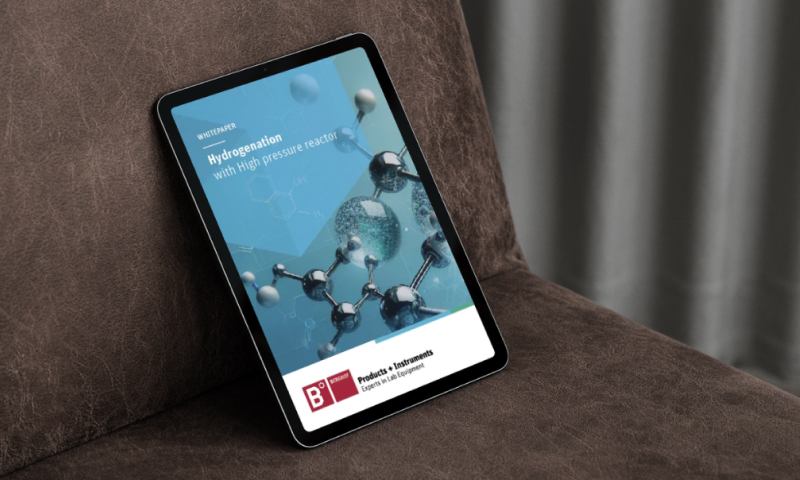 Whitepaper Hydrierung mit Hochdruckreaktor
